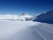 Sporen in de sneeuw met panoramisch uitzicht op de Rettenstein