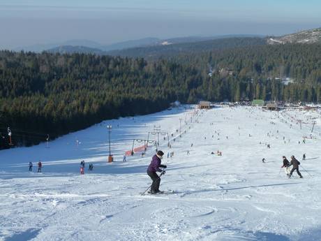 Skigebieden voor beginners in het regeringsdistrict Karlsruhe – Beginners Mehliskopf