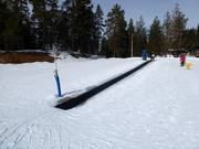 Blåmesen - Transportband/Moving Carpet