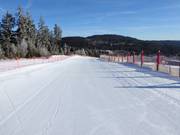 Zeer goede pistepreparatie op de Arber