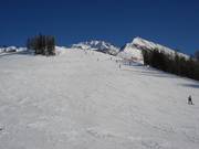 Brede pistes bij Goldried