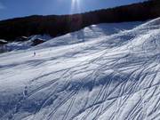 Diepsneeuwsporen vind je heel vaak naast de pistes.