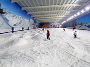 De hoofdafdaling in de skihal The Snow Centre