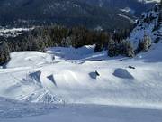 Snowpark P60 (Curnius)