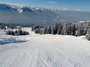 Afdaling Torlaufstrecke