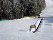 Ideaal voor kinderen: Pony Express transportband