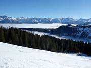 Grasgehren boven de wolken