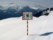 Milieugerichte voorlichting