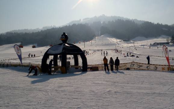 Familieskigebieden Loferer en Leoganger Steinbergen – Gezinnen en kinderen Buchensteinwand (Pillersee) – St. Ulrich am Pillersee/St. Jakob in Haus/Hochfilzen