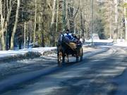 Je kunt met koetsen naar het dalstation rijden.