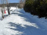 Bij de Kapellenlift loopt de loipe langs de skiweg.