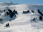 Saloberafdaling in Schröcken