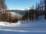 Typische dalafdaling door het bos