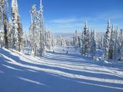 Gemakkelijke piste Smile