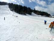Oefenlift met piste in het dalgebied