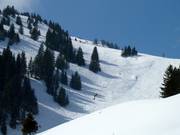 Ruimte om te freeriden