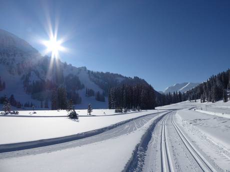 Langlaufen Zugspitz Arena Bayern-Tirol – Langlaufen Berwang/Bichlbach/Rinnen