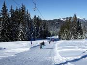 Kurvenlift - Sleeplift met T-beugel/Ankerlift