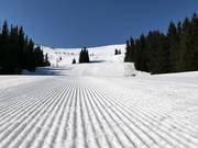 Vers geprepareerde pistes in Vitosha