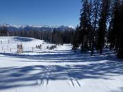 Hoogteloipe Roßbrand