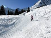 Flaxi's Ski Cross-parcours