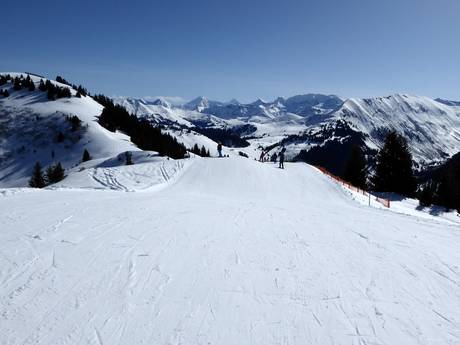 Simmental: beoordelingen van skigebieden – Beoordeling Rinderberg/Saanerslochgrat/Horneggli – Zweisimmen/Saanenmöser/Schönried/St. Stephan