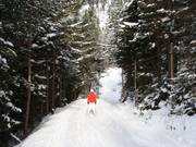 Dalafdaling - sleepweg vanaf het dalstation van de Mauritz-dubbelstoeltjeslift