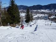 Streidlhanglift - Sleeplift met T-beugel/Ankerlift