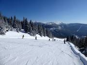 Middelzware piste Medvědín-Červená