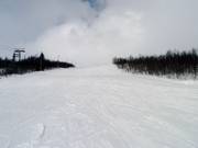 Brede afdaling Olabakken