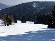 Vorderdorf-afdaling naar de Rehbach-sleeplift