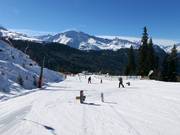 Beginnersgebied bij het middenstation