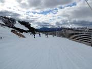 Gemakkelijke dalafdaling Wombats Ramble