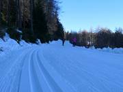 Langlaufcentrum Falzeben