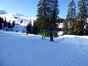 Wenalift - Sleeplift/babyllift