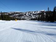 Gemakkelijke piste Vesleseterbakken