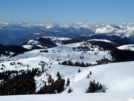 Vizentiner Alpen: Grootte van de skigebieden – Grootte Folgaria/Fiorentini