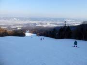 Lange en brede piste Spies