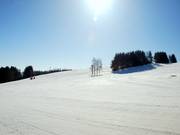 Uitzicht vanaf de dorpsafdaling op de pistes bij de Tenne