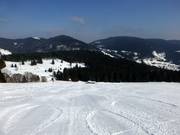Brede, perfect geprepareerde pistes in Menzenschwand