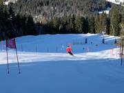 Adler7 Station Söllereck: Eagle Eye Run - slalomparcours