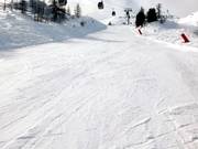 Coq-piste direct onder de gondelbaan Mercantour