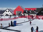 Kindy Conveyor - Transportband/Moving Carpet
