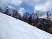 Skigebieden voor gevorderden en off-piste skiërs Oost-Azië – Gevorderden, off-piste skiërs Furano