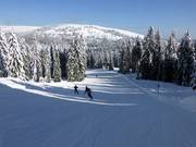 Makkelijke Rothaus-afdaling