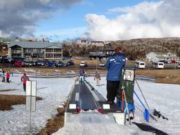 Harry's & Herman's Ski Carpet