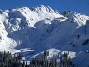 Freeride op de Glattingrat