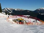 Tip voor de kleintjes  - Triassic Funline Steinplatte