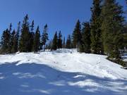 Buckelpiste in het skigebied van Idre Fjäll