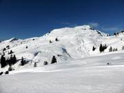 Uitzicht op de Diedamskopf